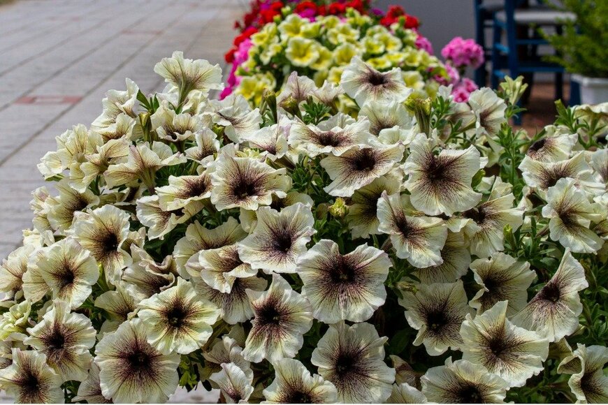 noel bennett/istockphoto.com