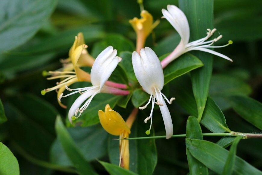 SAIGLOBALNT/istockphoto.com