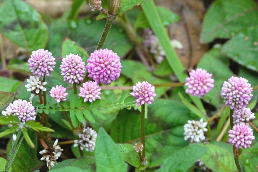 Larysa Lyundovska/istockphoto.com