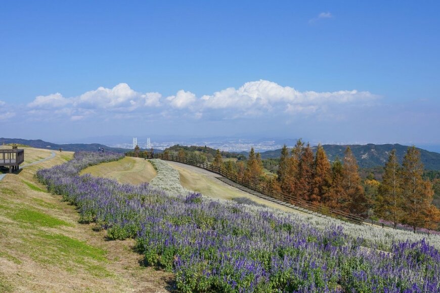 scott mirror/shutterstock.com