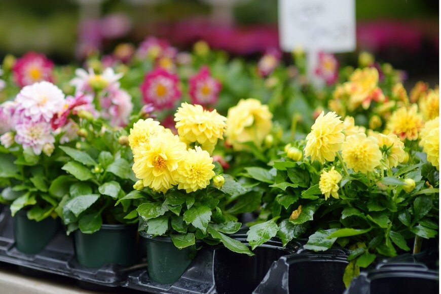 SbytovaMN/istockphoto.com