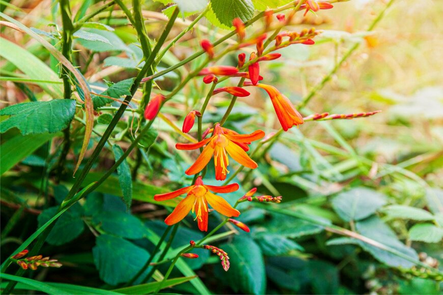 Andrey Atanov/istockphoto.com