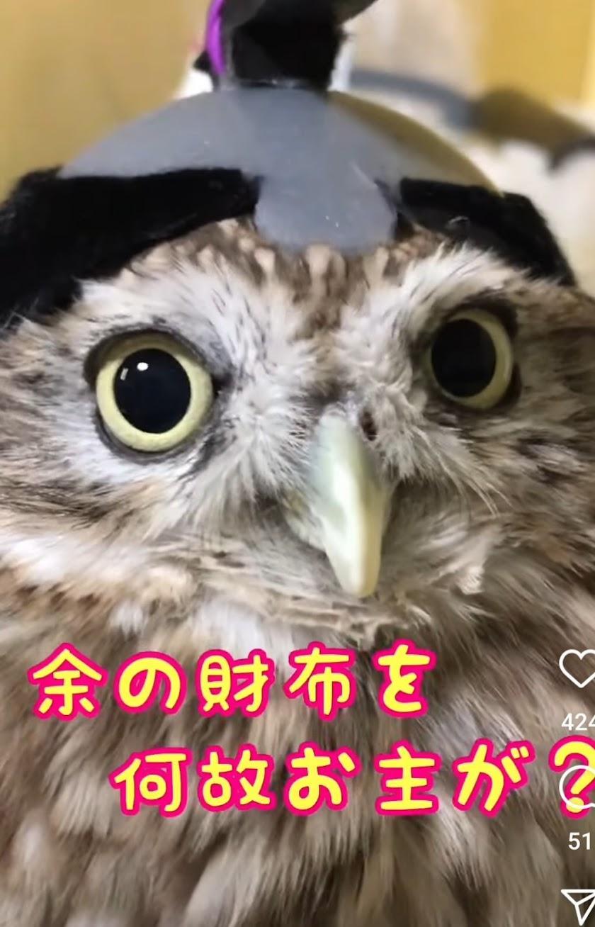 出所：@cr8673.hiro