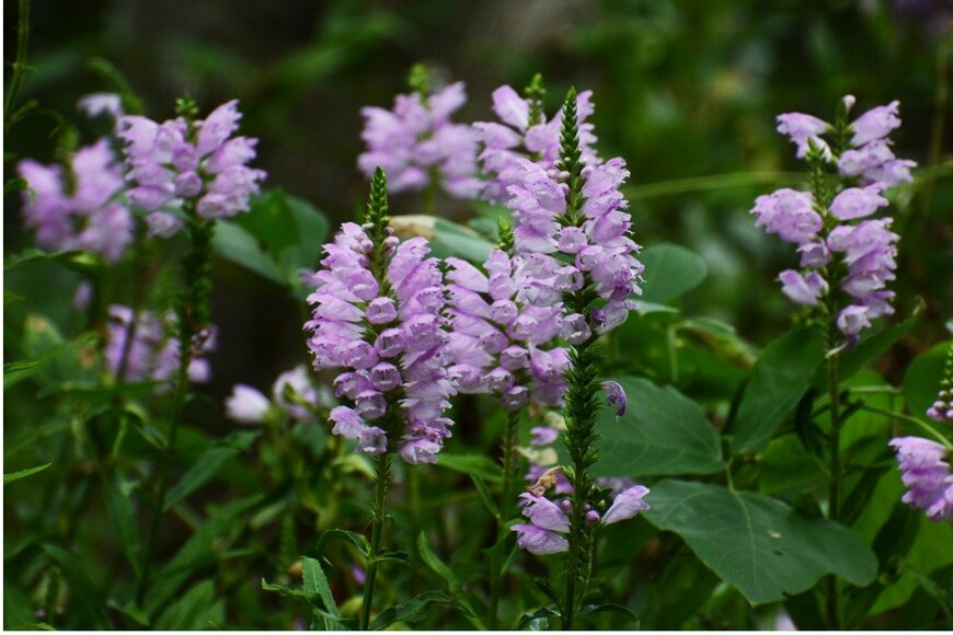 undefined undefined/istockphoto.com