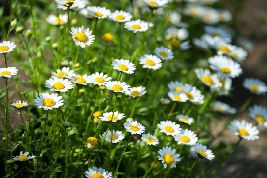 Kazzpix/istockphoto.com