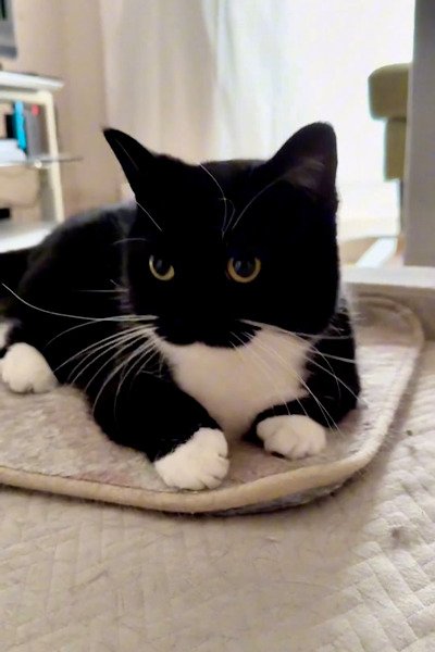 出所：@unicouniuni3