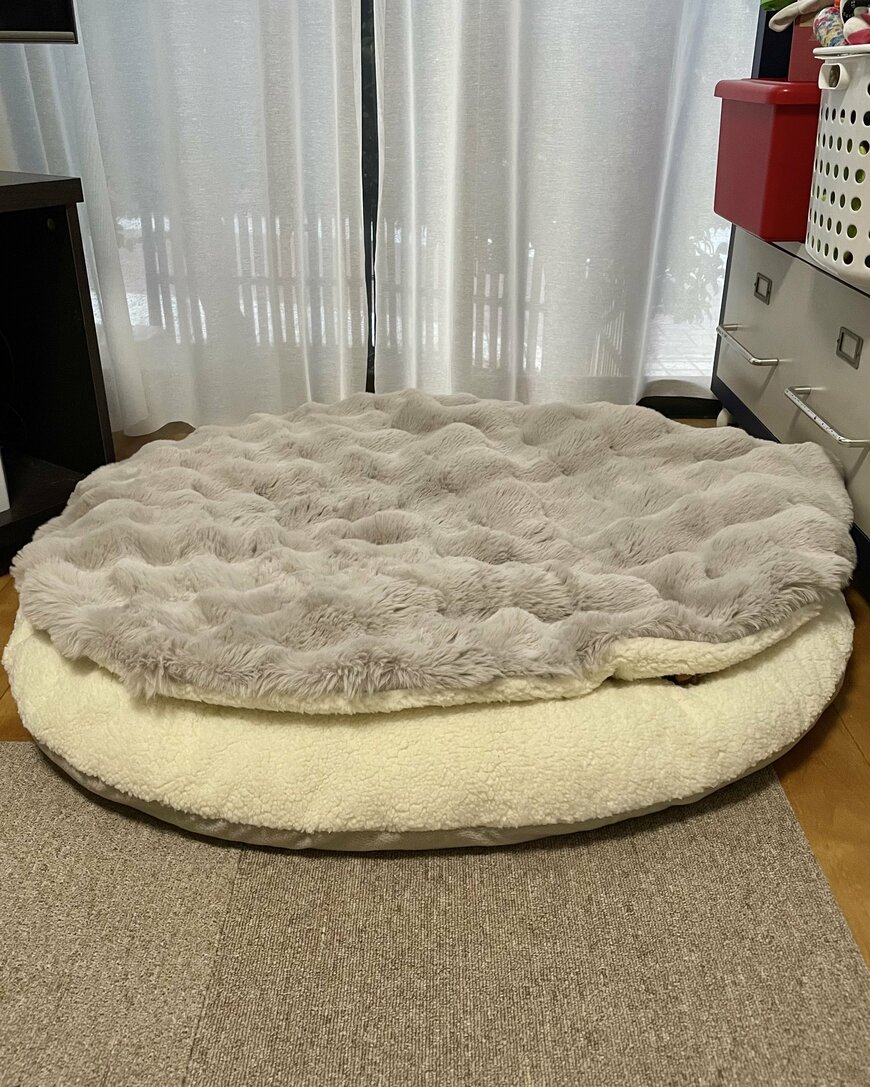 お部屋のクッション