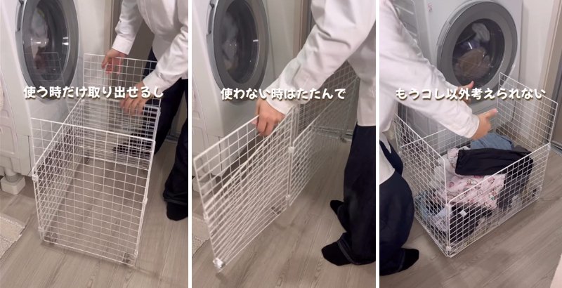 投稿の画像