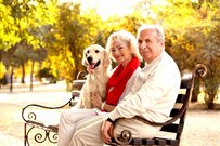 定年前後の貯蓄事情。50～70代でどう変わる？