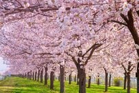 新入社員こそ知っておきたい！企業の「福利厚生制度」ってどこを見る？確定拠出年金があるなら運用も検討を