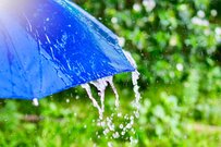 厚生年金だけで【月平均25万円以上の年金収入】の羨ましい人は日本に何パーセントいるか