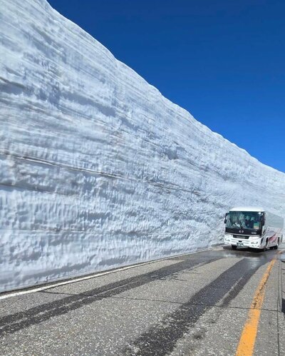 期間限定で見られる「雪の大谷」