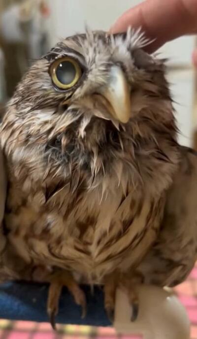 投稿動画のワンシーン