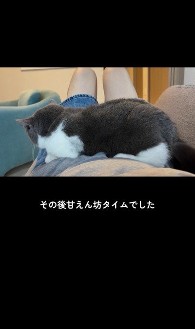 投稿の画像