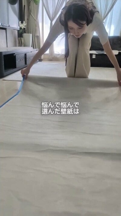 変身前の壁紙材料