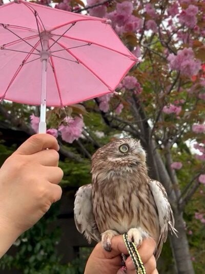 投稿動画のワンシーン