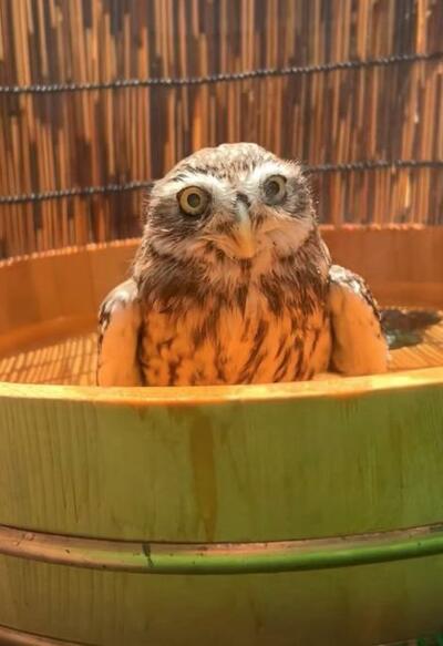 投稿動画のワンシーン