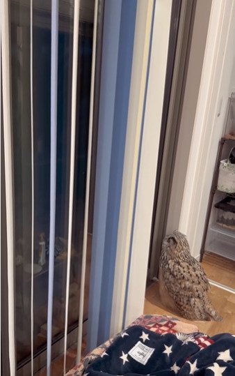 投稿動画のワンシーン