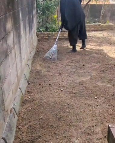 投稿の画像