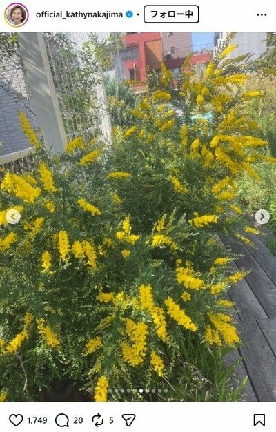 キャシー中島のInstagram投稿