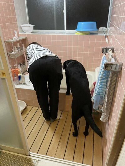 :投稿の画像