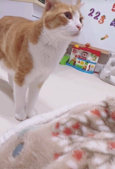 投稿動画のワンシーン