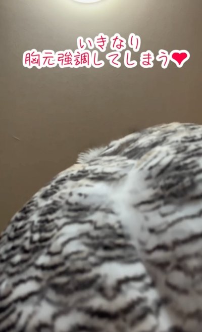 投稿動画のワンシーン