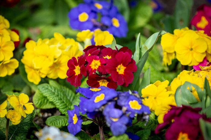Lemanieh/istockphoto.com