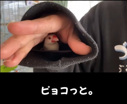 出所：@buntyo_suehiro