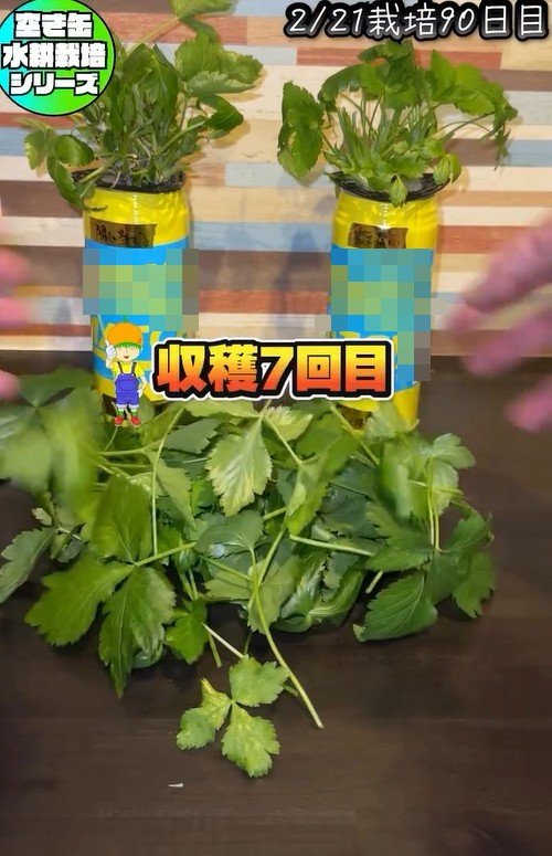 出所：@mikanbo_ya19_87