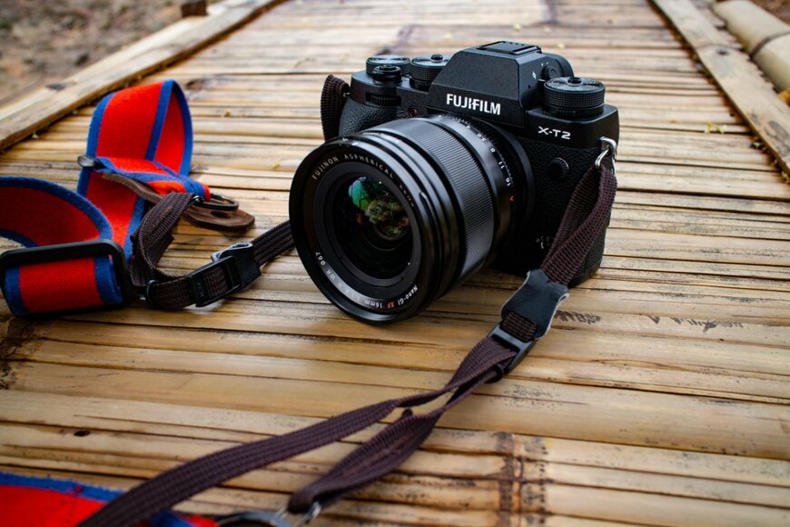 Riana Ambarsari/shutterstock.com