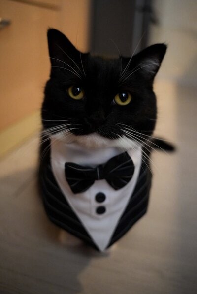 出所：＠unicouniuni3