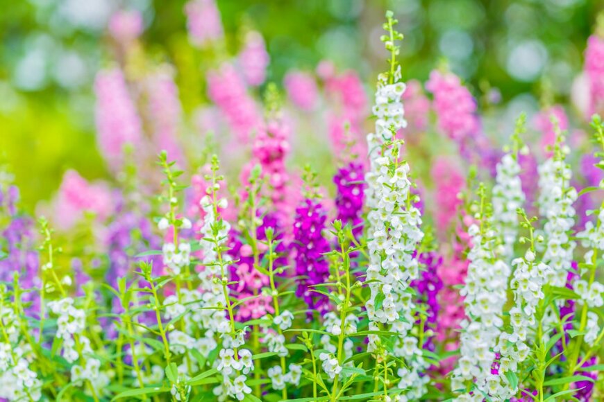 Ohm2499/shutterstock.com