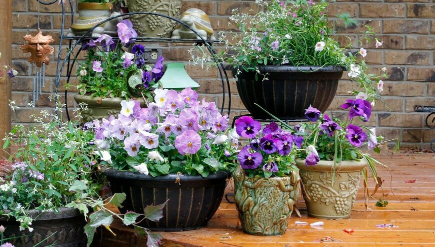 BambiG/istockphoto.com