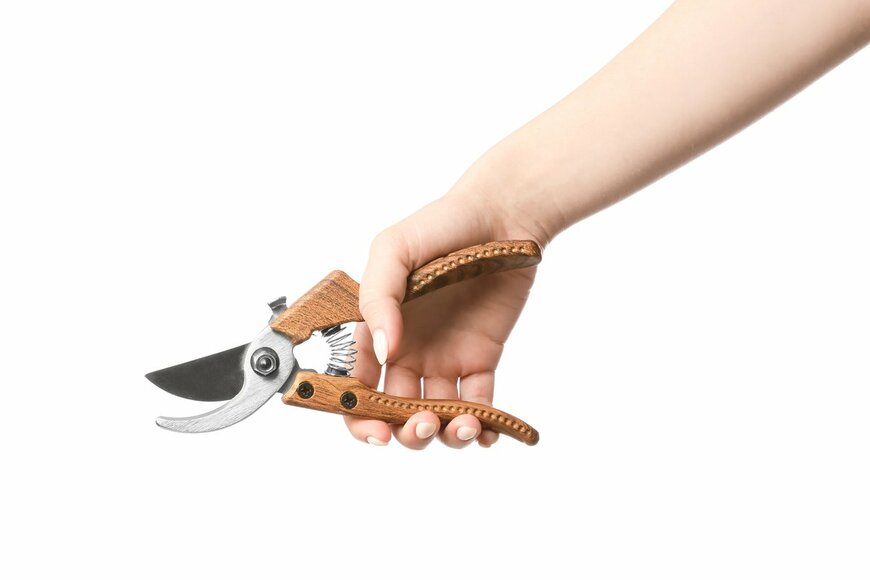 Pixel-Shot/Shutterstock.com