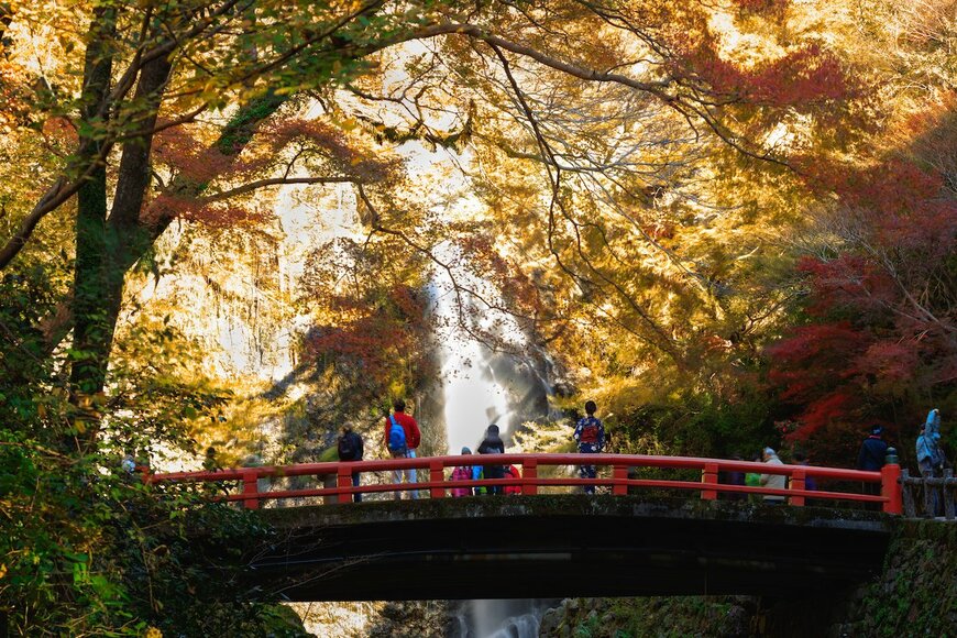 「今年の10月22日って祝日なの!?」訪問先として多い「皇室ゆかりの地」人気No.1とは