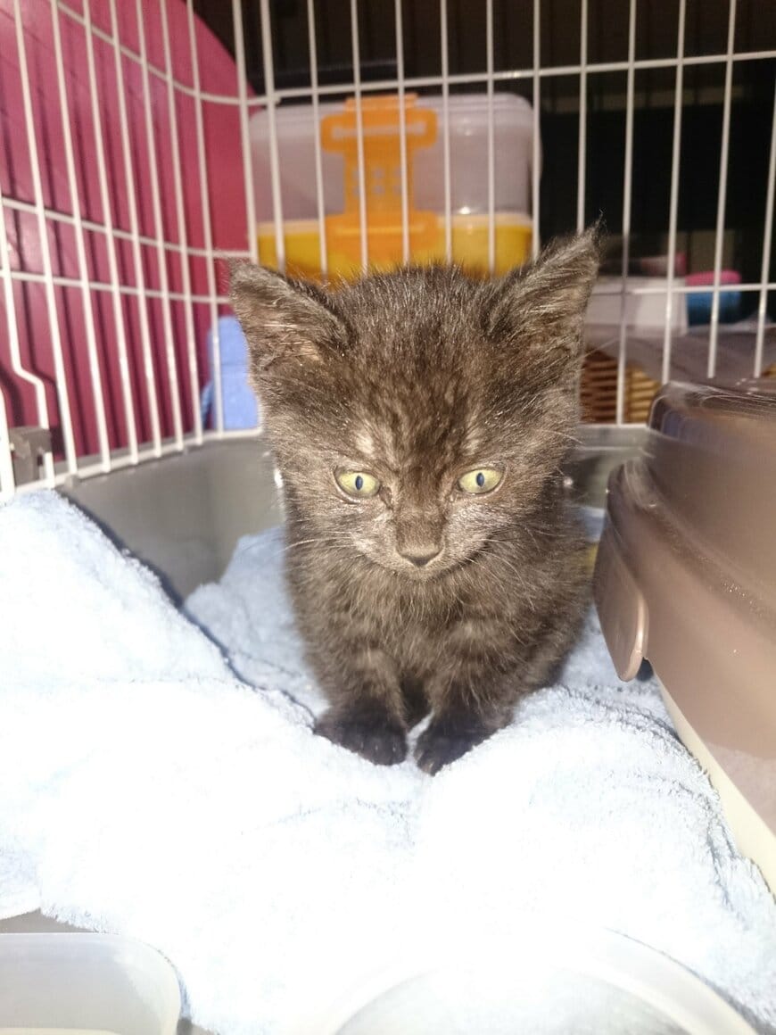 出所：@8rjXhLaRHFwK9l2