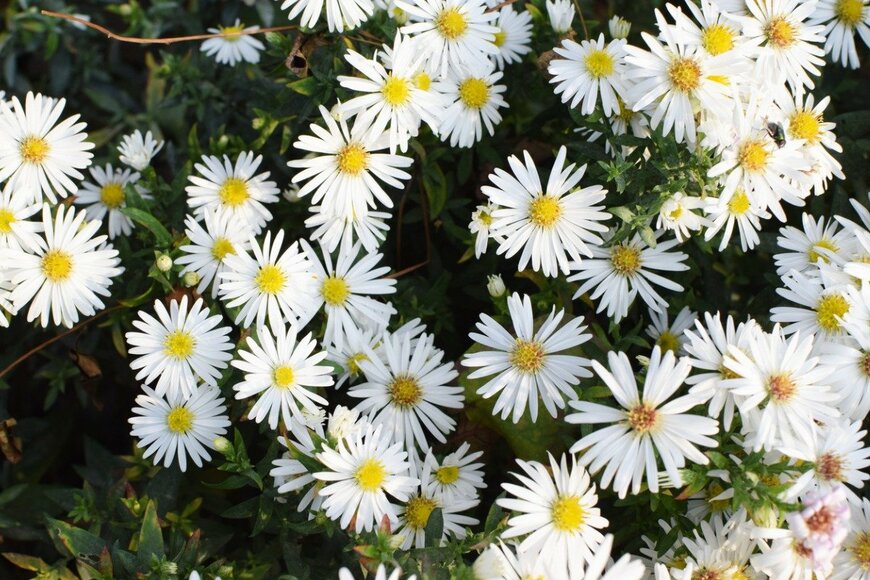 Oksana Lyskova/istockphoto.com