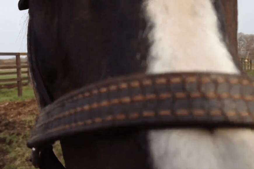 出所：Yogiboヴェルサイユリゾートファーム