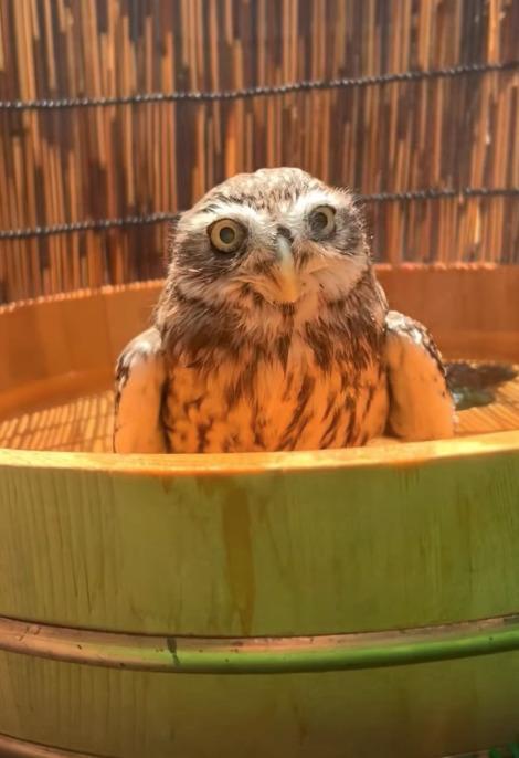 出所：@cr8673.hiro