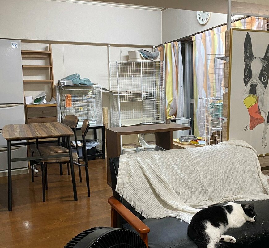 出所：@00shitemita