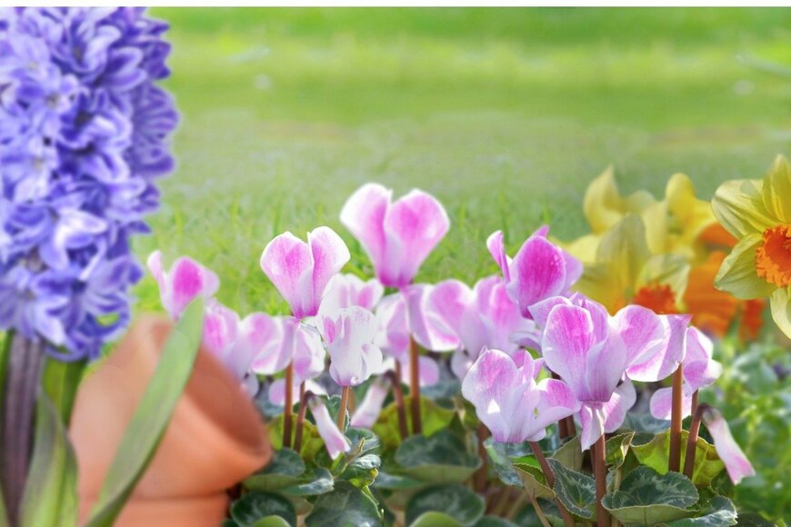 sanddebeautheil/istockphoto.com