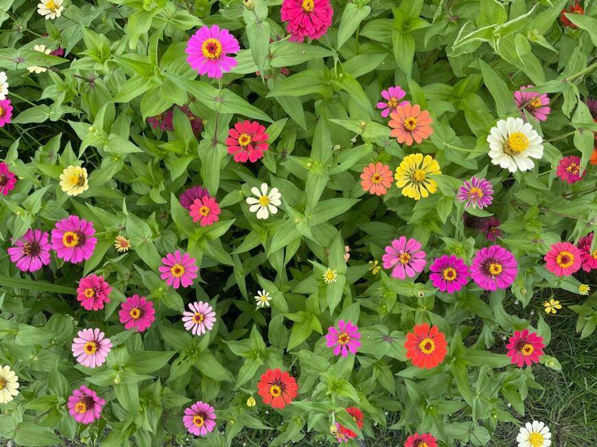 PhadungsakPK2021/shutterstock.com