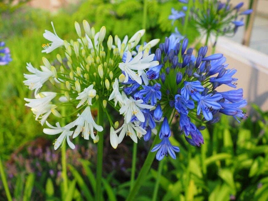 oasis2me/istockphoto.com