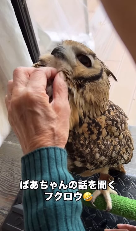 出所：@ba_chantolatte