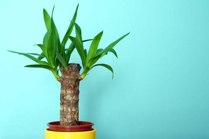 A. Hartleib/shutterstock.com