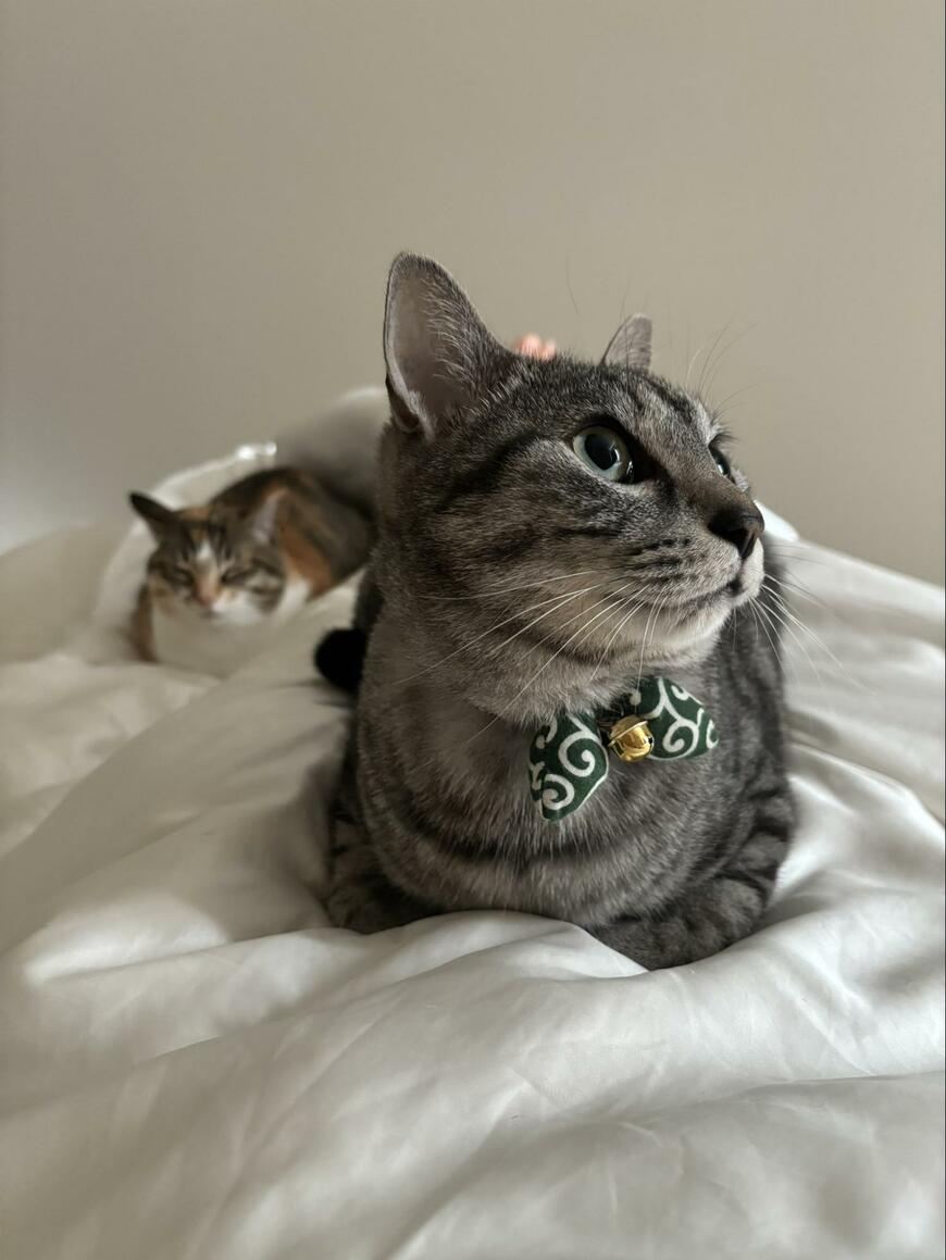 出所：@totomaru_hanmi