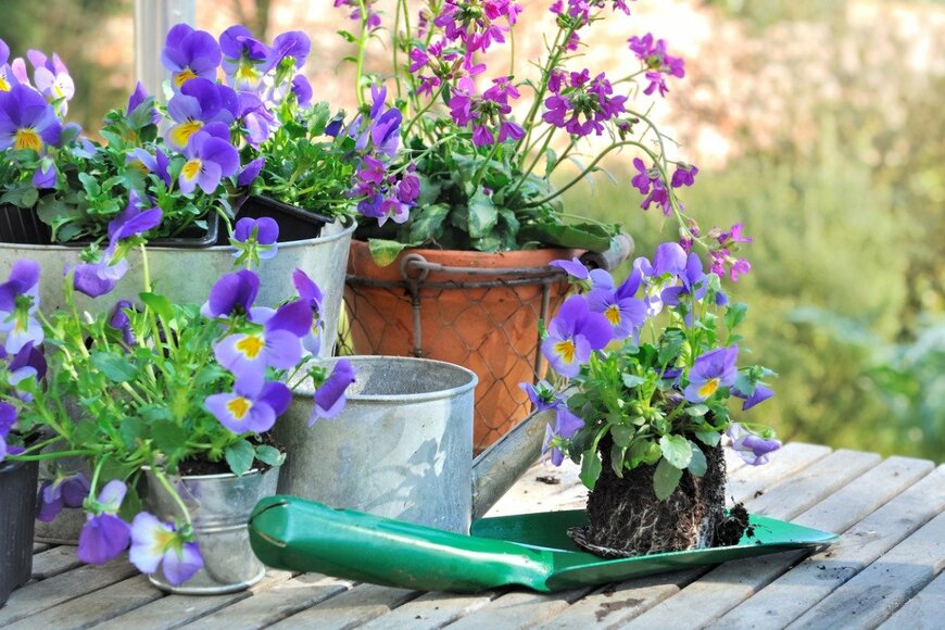 sanddebeautheil/istockphoto.com