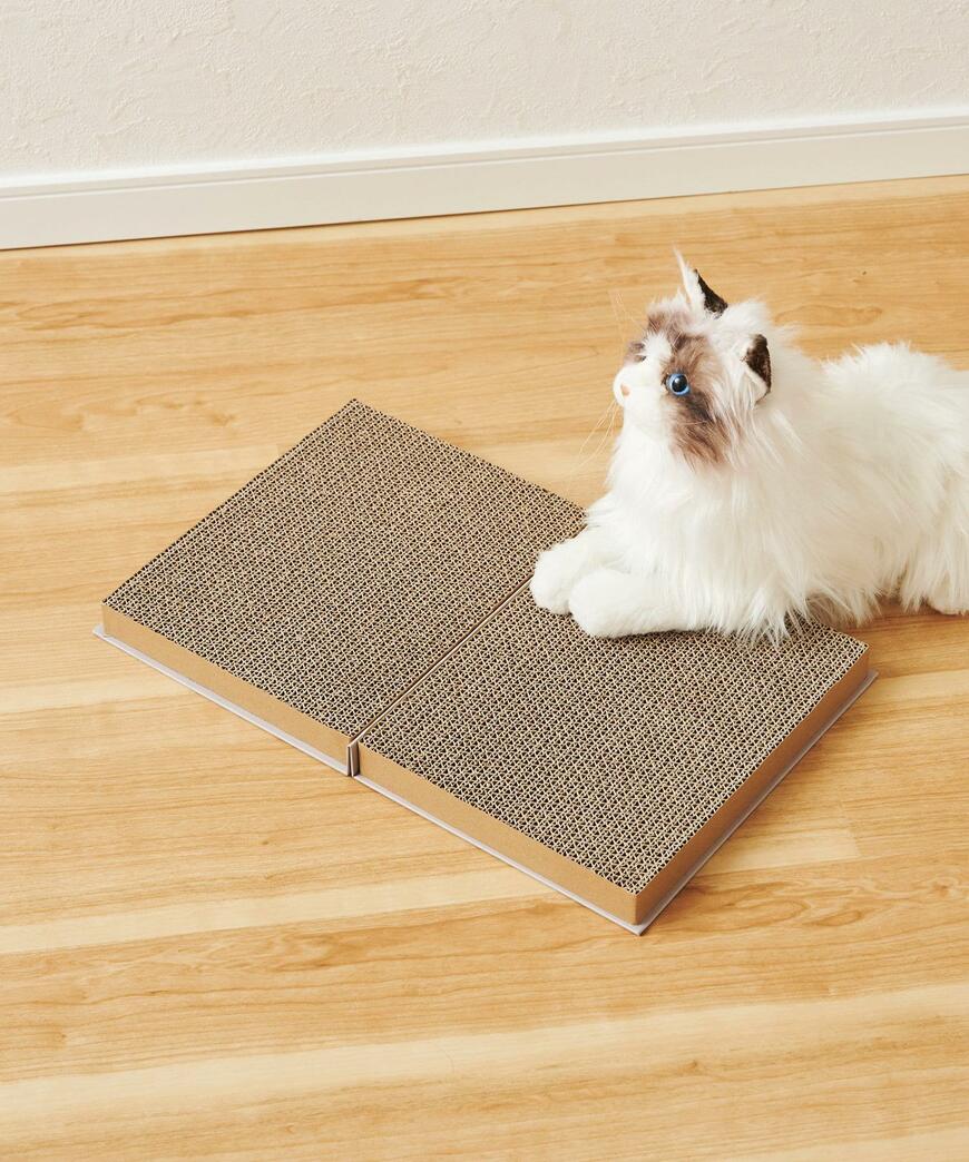 猫ちゃんが本を読んでいるように見えます。かわいい写真も撮れそうです／出所：パルグループ公式ファッション通販サイト 3COINS BOOK型爪研ぎ