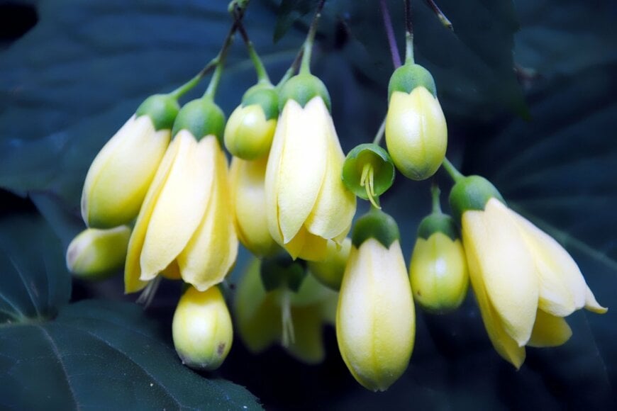 marineke thissen/shutterstock.com